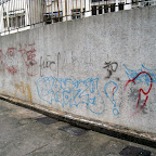 IMG_0567.jpg