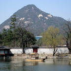 South Koreans love tiny boats.