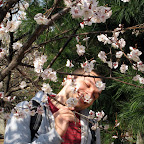 South Koreans love to stop and smell the flowers.