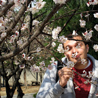 South Koreans love to make you take the same picture twice.