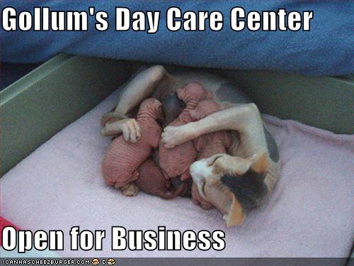 Gollum's Daycare Center Open for Business