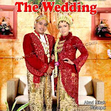 Nova & Abing
