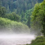 Sometime the Spring mornings are cooler than the water giving us an interesting mist.  This view is from our front lawn looking West