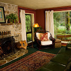 fireplace-livingroom-web.jpg