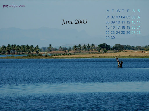 desktop calendar  june 2009