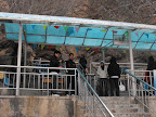 当天下雪了,我冷到不行~~直接缩着~~ DSCF0104.jpg