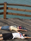 DSCF9388.jpg
