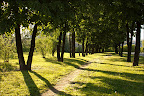 090608-0046-w.jpg