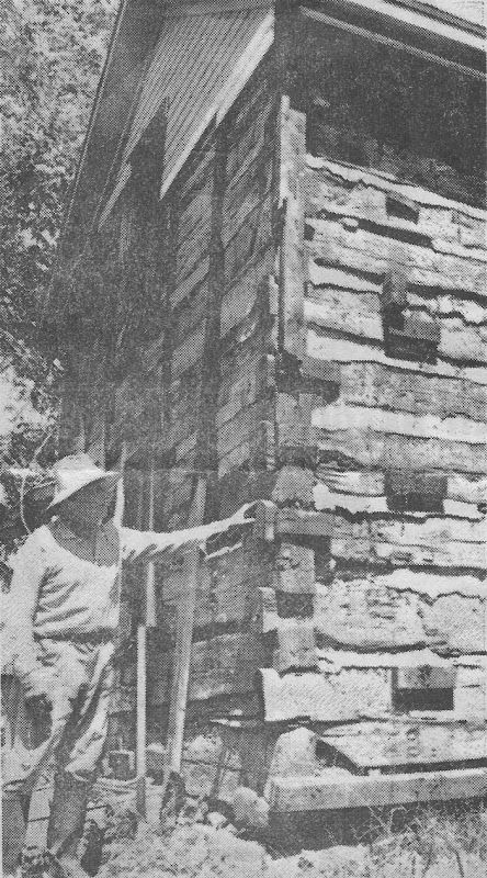 Zink Log Home