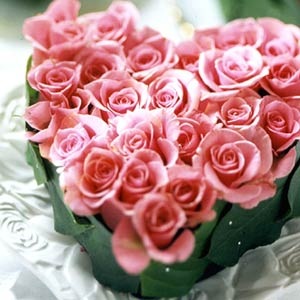 [pink-rose-valentine-day-flowers1[2].jpg]