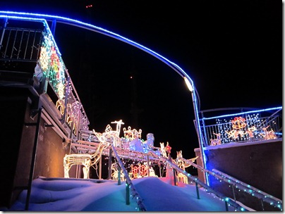 IMG_9842 IMG_9842