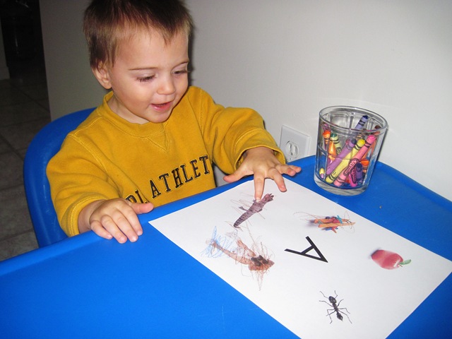 [IMG_4239BB3.jpg]