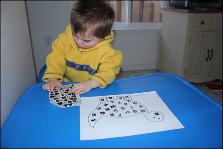IMG_6530 IMG_6530