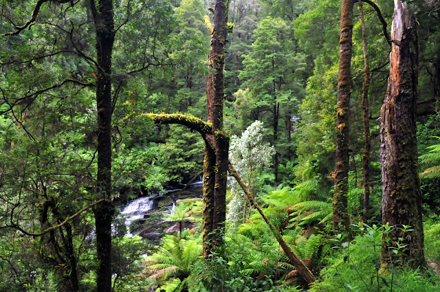 Triplet Falls