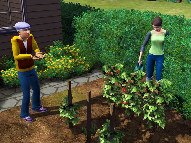 thesims3-04.jpg
