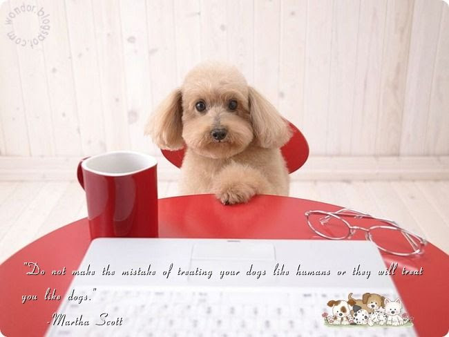 Pet Dogs Lovely Quotes