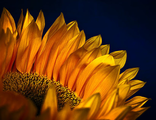 Любопытная мысль H:i