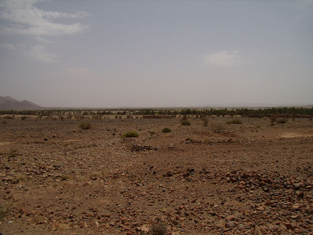 P5200022.JPG