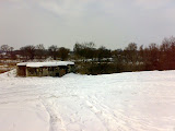 14022010167.jpg