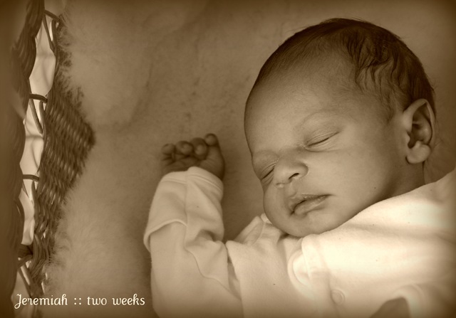 [Jeremiah2wksold[4].jpg]