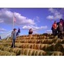 [hay stack[5].jpg]