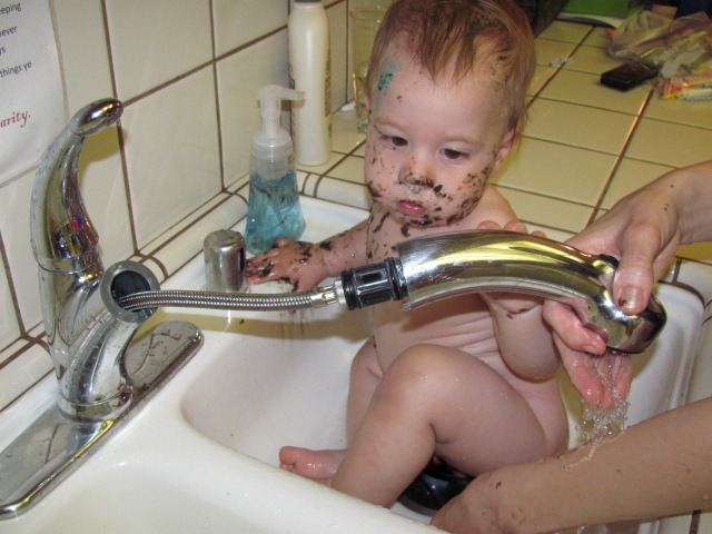 IMG_8601 IMG_8601
