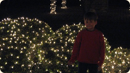 Christmas Lights at Red Bay 006