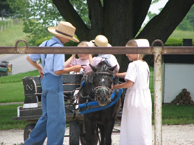 [Elkhart Amish Area - 2010 007[3].jpg]