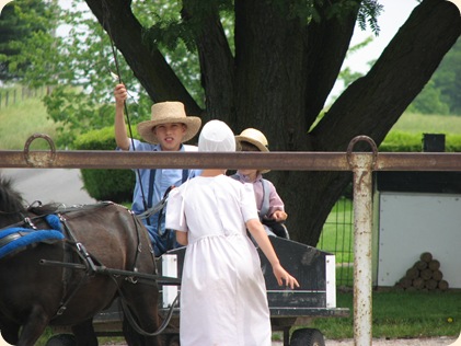 Elkhart Amish Area - 2010 011