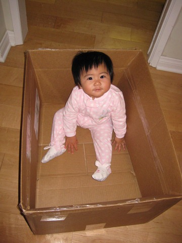 [wk47_stacy_box[2].jpg]