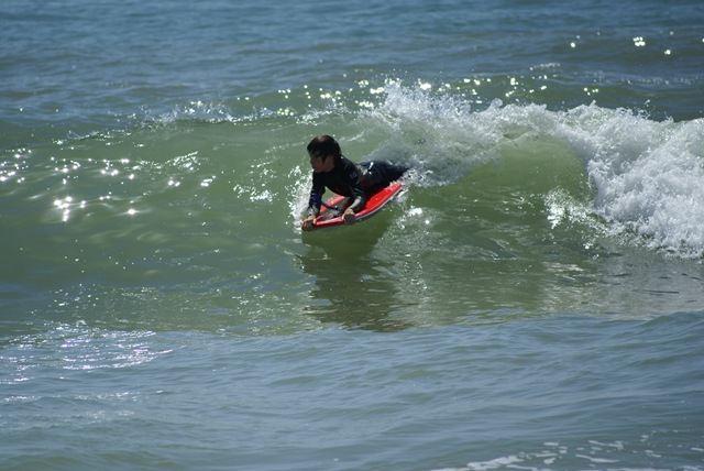 [DSC03419[1].jpg]