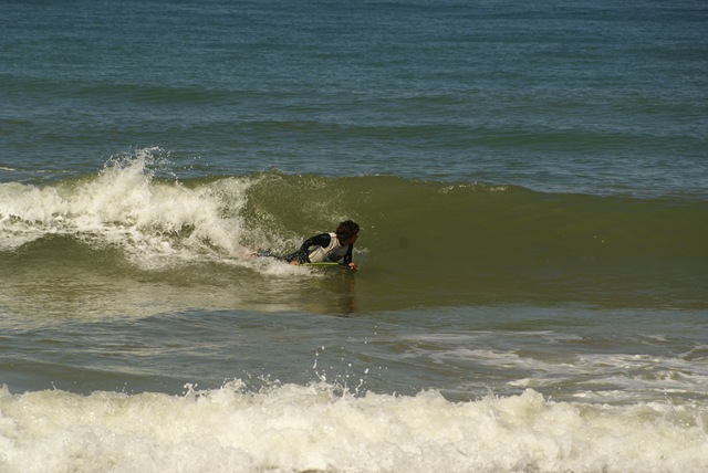 [DSC03790[1].jpg]