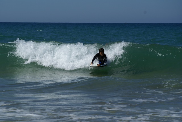 [DSC04526[3].jpg]