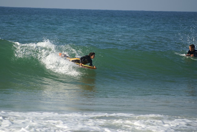 [DSC05606[3].jpg]