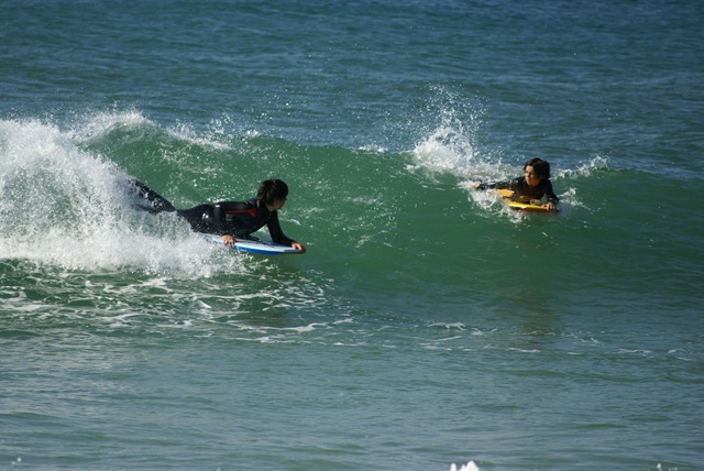 [DSC05741[3].jpg]