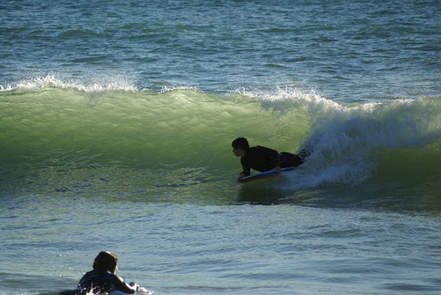 [DSC05944[3].jpg]