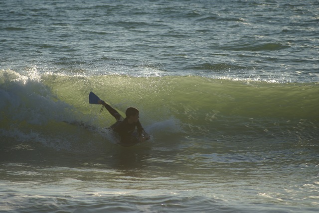 [DSC05963[3].jpg]