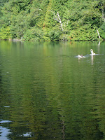 P1030214.JPG