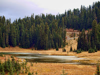 Tipsoo lake