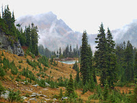 Another lake, nestled between the pine trees