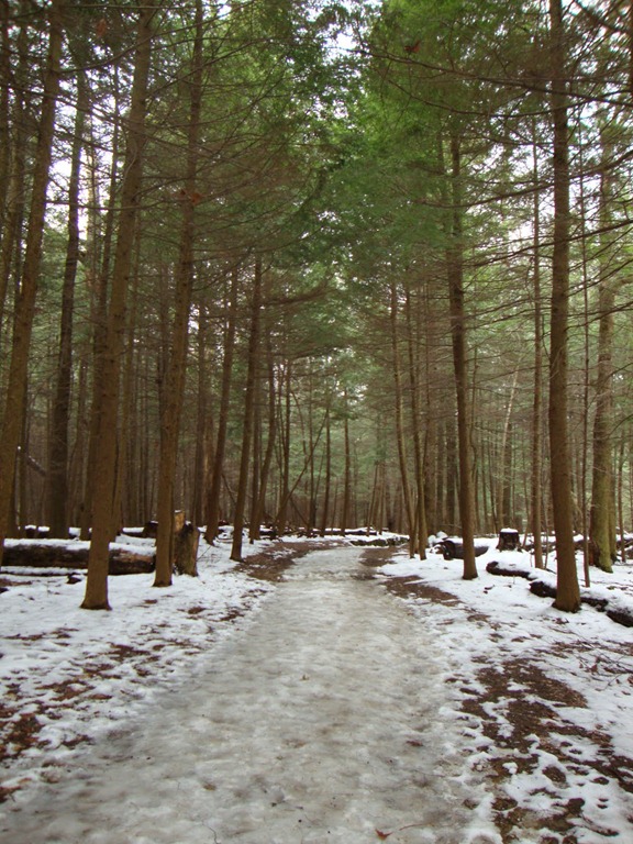 [DSC00255[4].jpg]