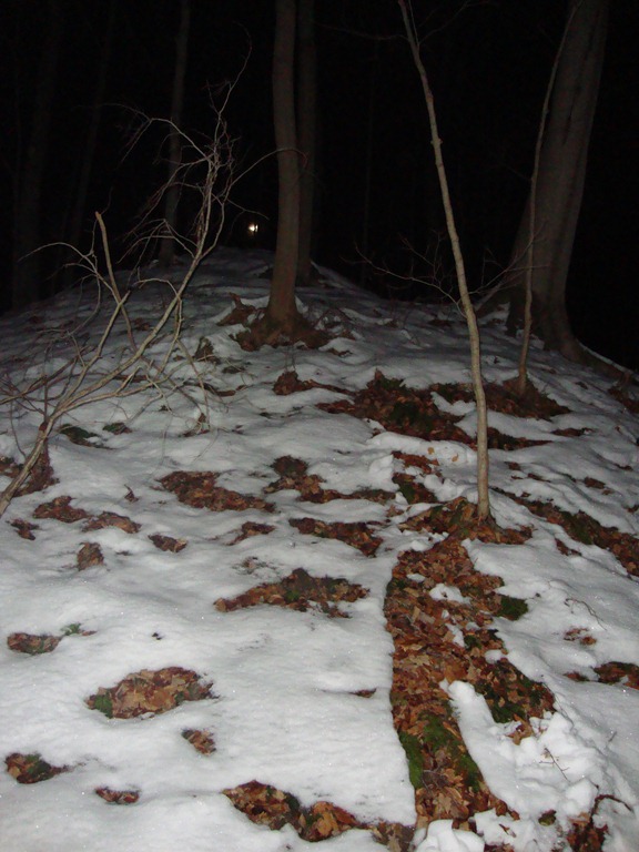 [DSC00268[5].jpg]