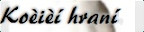 Pohrajte si s kočičkou , je opravdu sladká :-)