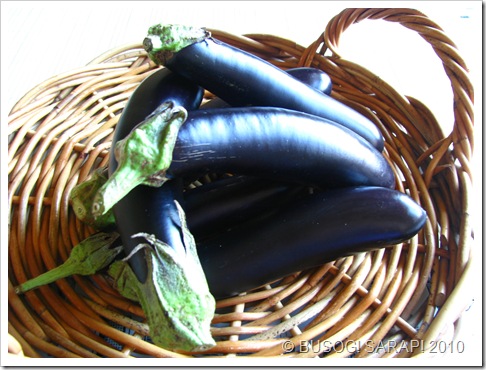 Eggplant (Talong)© BUSOG! SARAP! 2010
