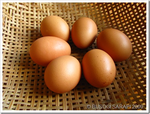 itlog© BUSOG! SARAP! 2009