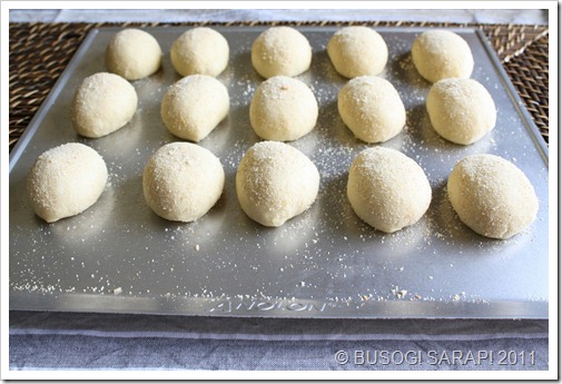 LIGHT COLOURED BAKING TRAYS