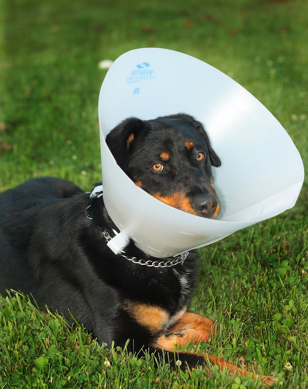 IMAGE: http://lh4.ggpht.com/_tqgN_YxtbQ0/SkGPD4Rv5sI/AAAAAAAAAKE/6hiT2UrnYx0/s800/Naturally%20Framed.jpg