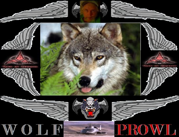 [WOLF PROWL HEADER[2].jpg]