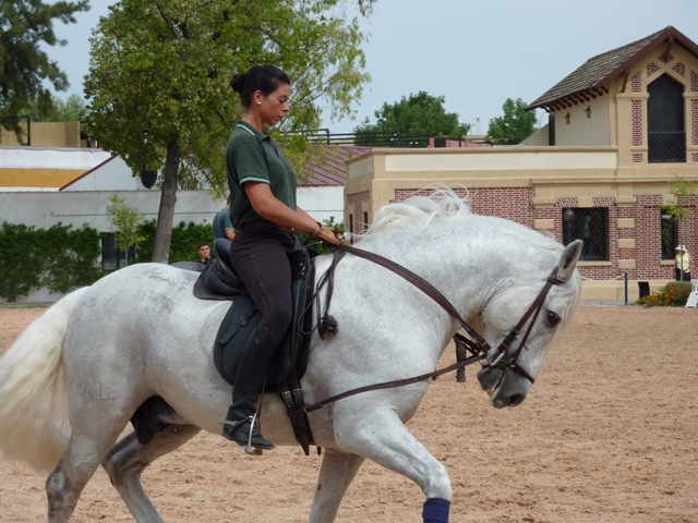 [P1000332[3].jpg]