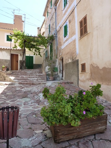 [P1010437[3].jpg]